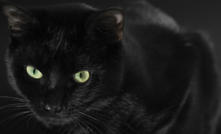 Friday 13, a curse which reigns nowadays: 13 superstitions that ...